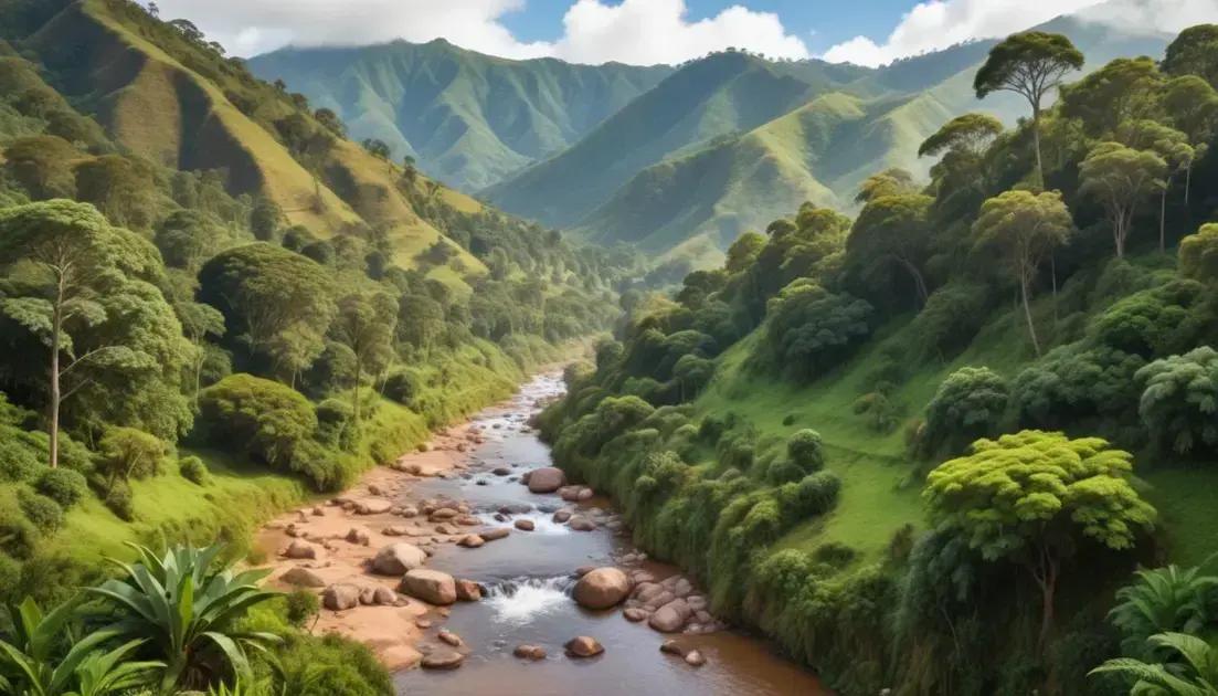 Campos do Jordão (SP): descubra onde avistar capivaras e apreciar a fauna local