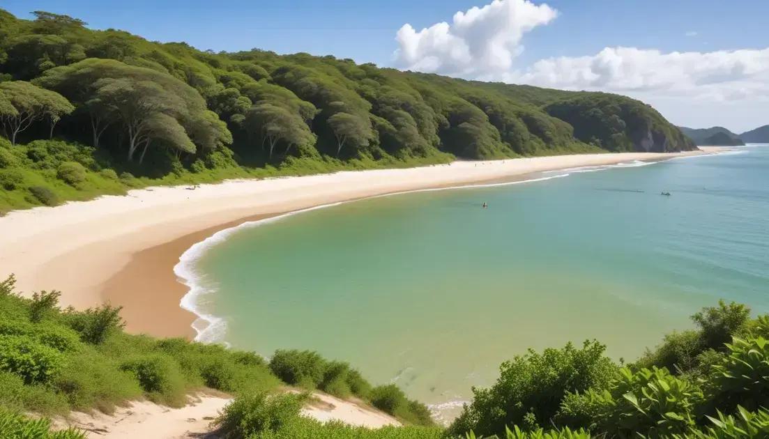 Passeios em Ilha do Mel (Paraná): descubra roteiros imperdíveis para sua viagem