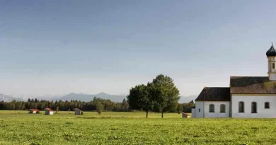 Fazenda com arvores e casa branca