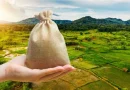 Mão segurando pequeno saco com terras de agricultura ao fundo