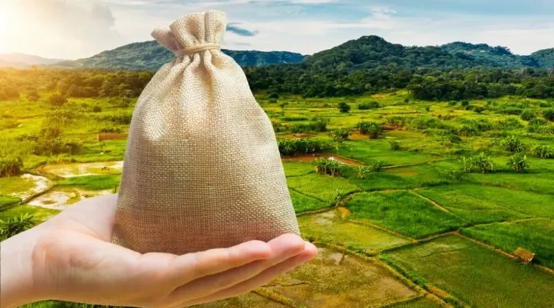 Mão segurando pequeno saco com terras de agricultura ao fundo