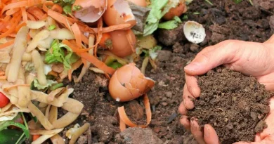 Resíduos orgânicos no chão e mão segurando terra