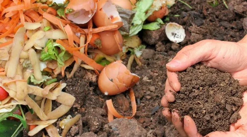 Resíduos orgânicos no chão e mão segurando terra
