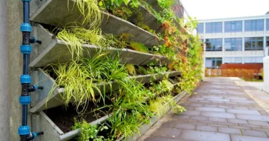 Plantas arranjadas em uma parede formando uma horta vertical