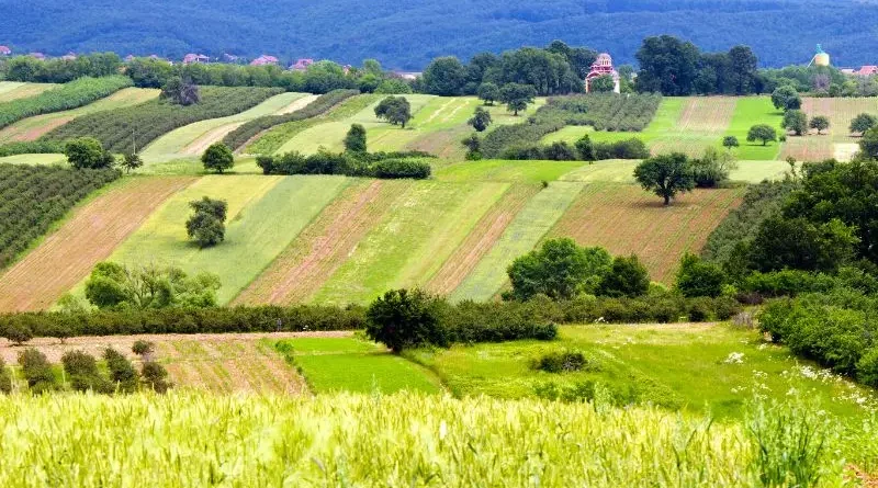 Paisagem rural extensa com campos, pomares e sebes.