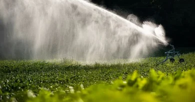 Sistema de irrigação em campo de cultivo.