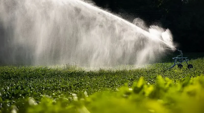 Sistema de irrigação em campo de cultivo.
