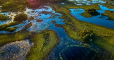 Paisagem alagada com rios e vegetação.
