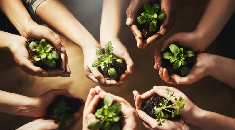 Jardinagem sustentável com orégano.