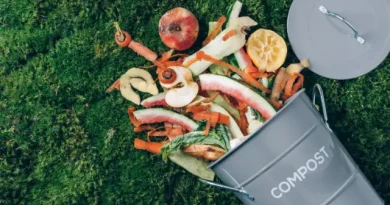 Recipiente de compostagem com restos de comida.