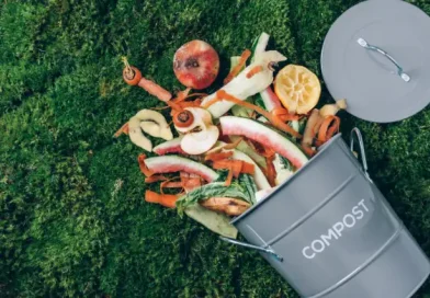 Recipiente de compostagem com restos de comida.