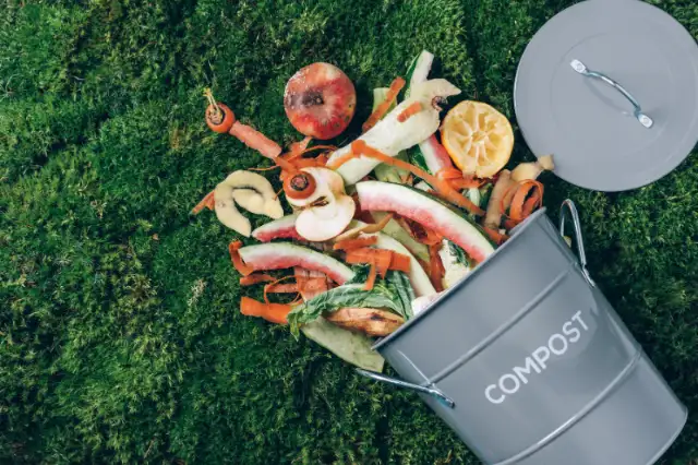 Recipiente de compostagem com restos de comida.
