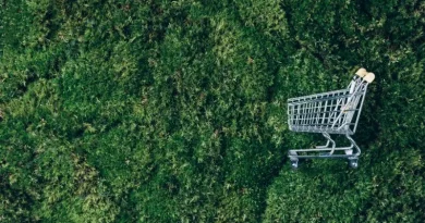 Carrinho de compras ecológico.