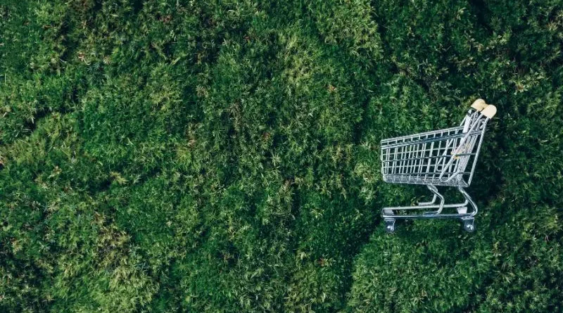Carrinho de compras ecológico.